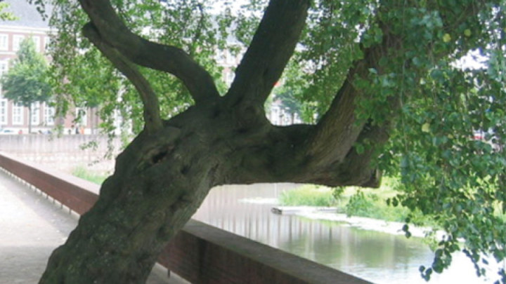 Parklaan en Zuidwal