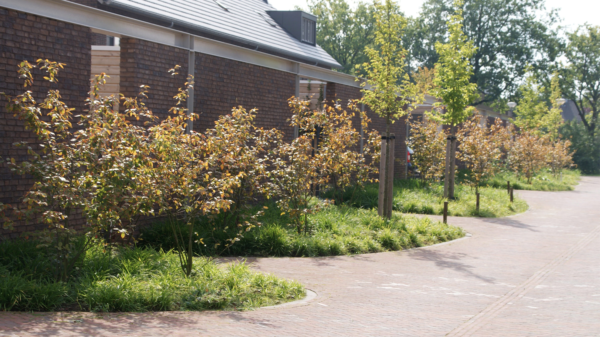 De Hoef Zuid